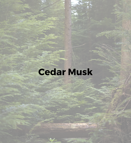 Cedar Musk