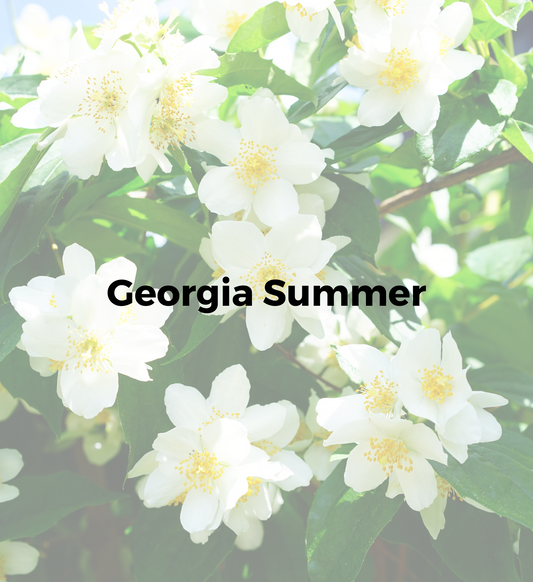 Georgia Summer