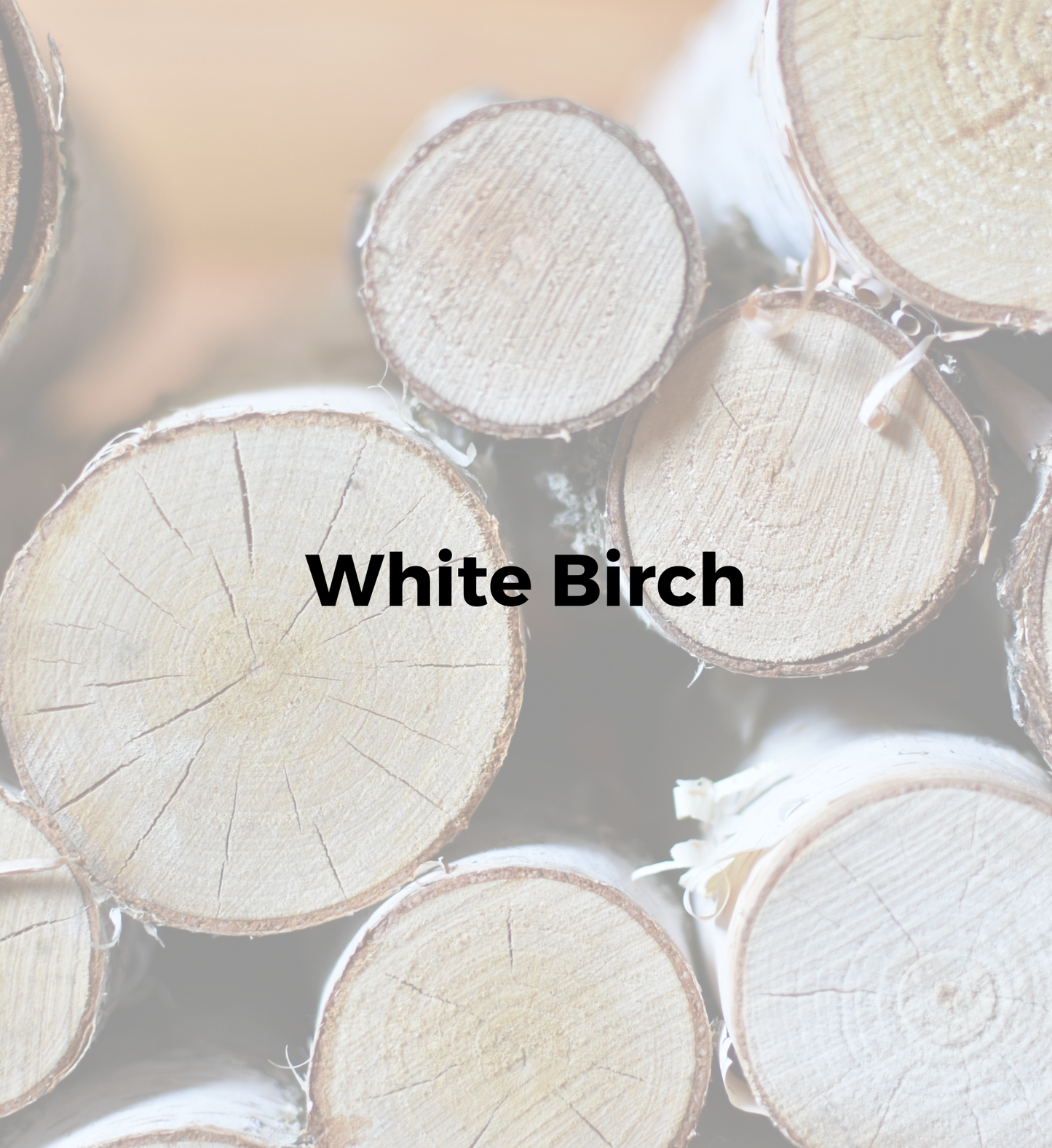 White Birch