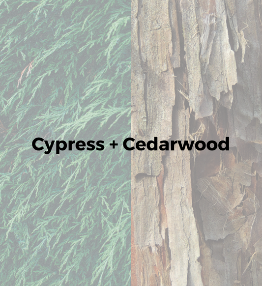 Cypress + Cedarwood
