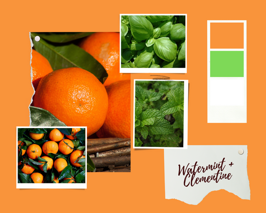 Watermint + Clementine