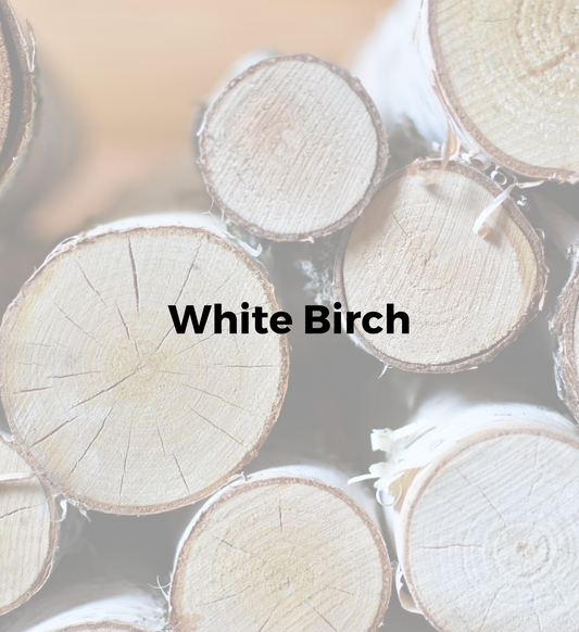White Birch