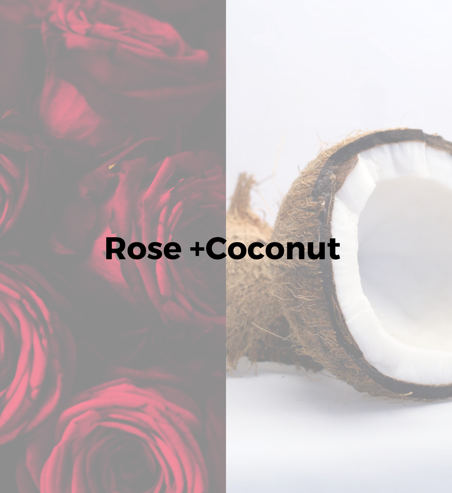 Rose + Coconut