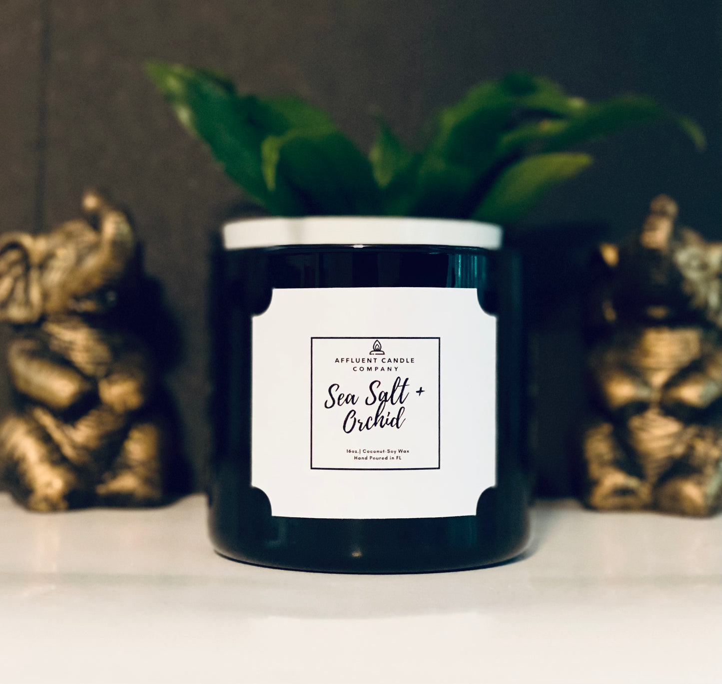 Sea Salt + Orchid