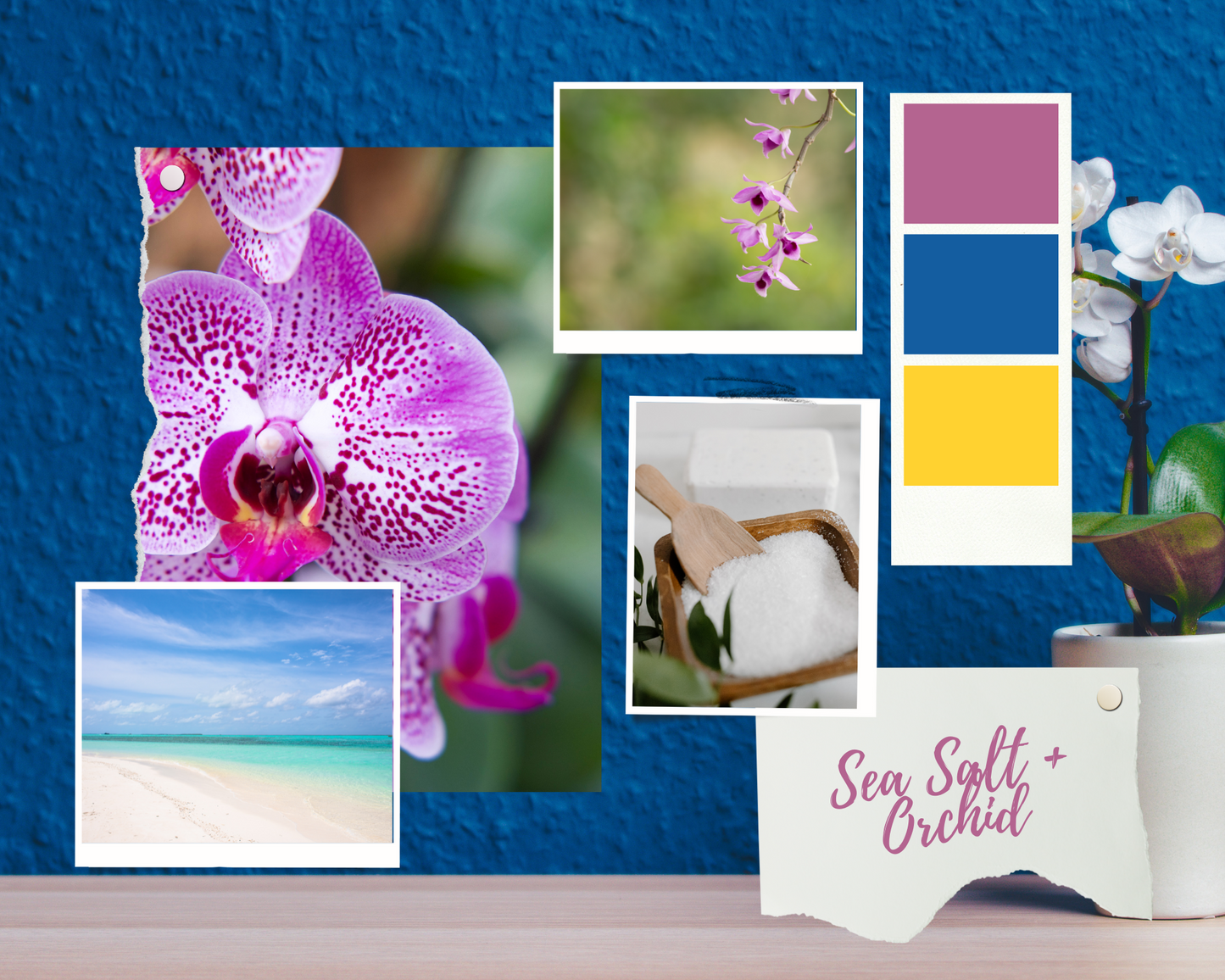 Sea Salt + Orchid